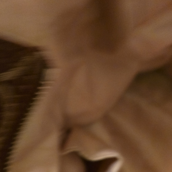 Coach Monogram Tote in Rosewood and Blush - Picture 4 of 8